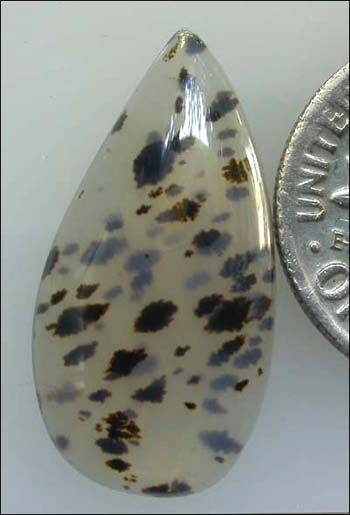 MONTANA DENDRITIC AGATE DESIGNER CABOCHON (USA) – 6.17 ct. 